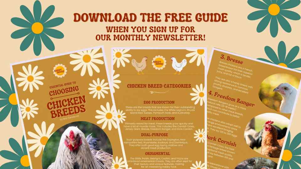 Download the Free Guide to Chicken Breeds