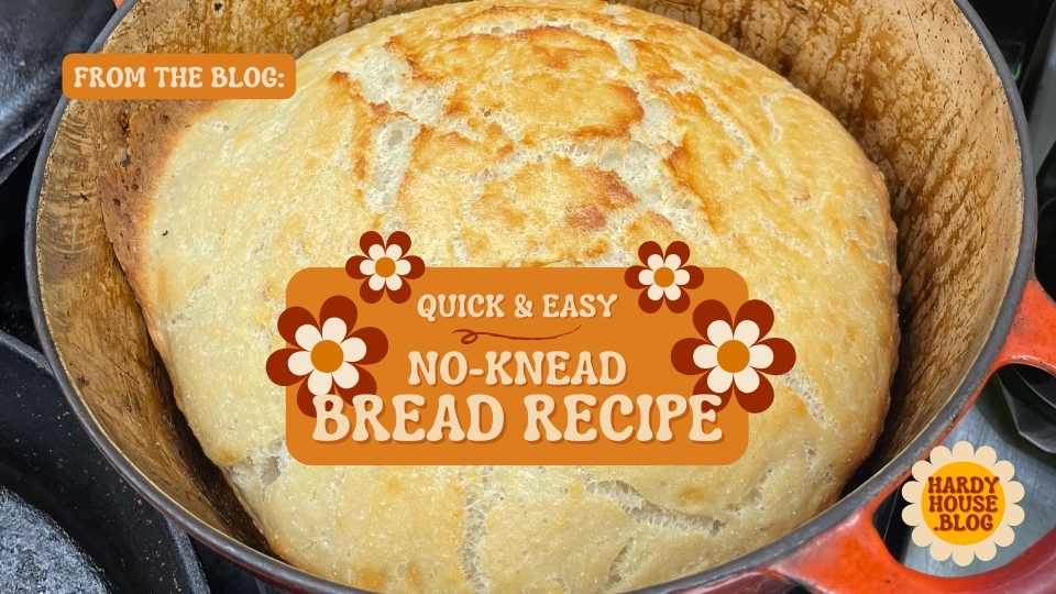 The No-Knead Bread Recipe - So Easy it Should be Outlawed 