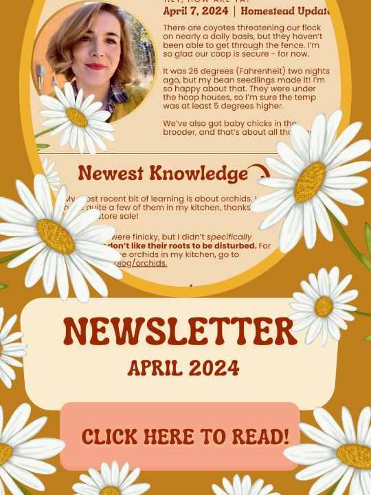 Homestead Newsletter - April 2024